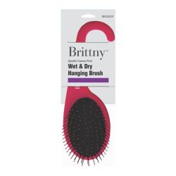 BR BRUSH WET &DRY HANGING 12/pk